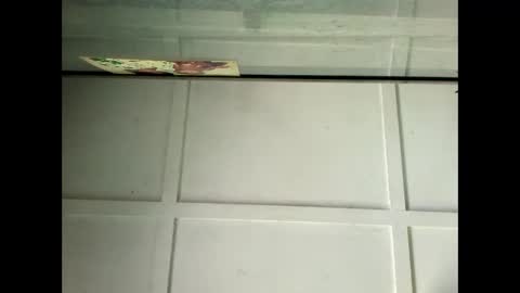 Snapshot of fucmebudoo chatting on 01/29/25, 04:05 Warwick online show from 01/29/25, 04:05