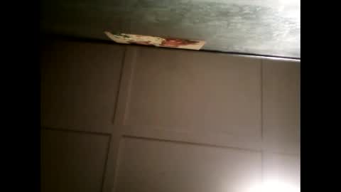 Snapshot of fucmebudoo chatting on 01/30/25, 11:01 Warwick online show from 01/30/25, 11:01