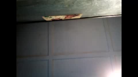 Snapshot of fucmebudoo chatting on 02/22/25, 07:56 Warwick online show from 02/22/25, 07:56