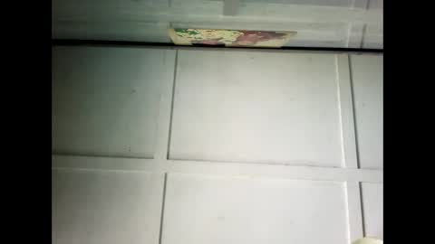 Snapshot of fucmebudoo chatting on 02/24/25, 01:02 Warwick online show from 02/24/25, 01:02