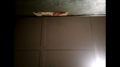 Snapshot of fucmebudoo chatting on 02/28/25, 01:03 Warwick online show from 02/28/25, 01:03