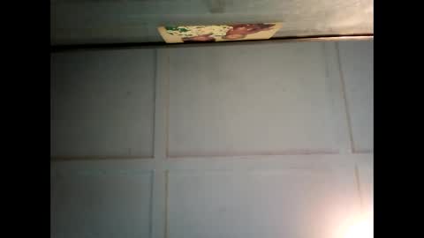 Snapshot of fucmebudoo chatting on 03/03/25, 06:37 Warwick online show from 03/03/25, 06:37