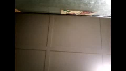 Snapshot of fucmebudoo chatting on 03/03/25, 11:22 Warwick online show from 03/03/25, 11:22