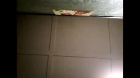 Snapshot of fucmebudoo chatting on 03/04/25, 10:35 Warwick online show from 03/04/25, 10:35