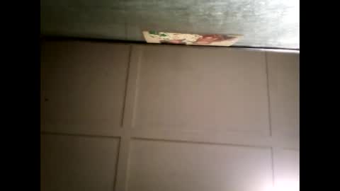 Snapshot of fucmebudoo chatting on 03/05/25, 11:49 Warwick online show from 03/05/25, 11:49