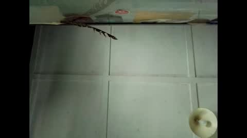 Snapshot of fucmebudoo chatting on 10/04/25, 12:41 Warwick online show from 10/04/25, 12:41