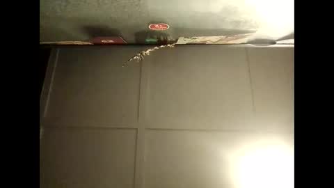 Snapshot of fucmebudoo chatting on 10/08/25, 08:12 Warwick online show from 10/08/25, 08:12