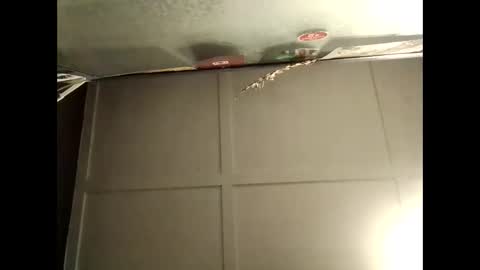 Snapshot of fucmebudoo chatting on 10/10/25, 08:46 Warwick online show from 10/10/25, 08:46