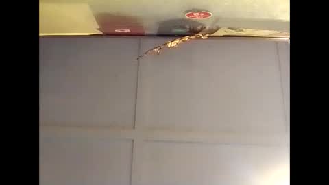 Snapshot of fucmebudoo chatting on 10/16/25, 07:09 Warwick online show from 10/16/25, 07:09