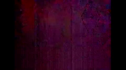 Warwick online show from 02/09/26, 11:36