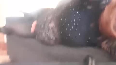 Pizzaz online show from 12/29/24, 02:17