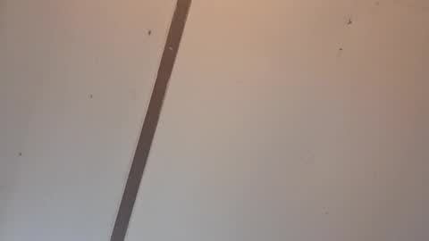 Astrid online show from 04/03/26, 02:09