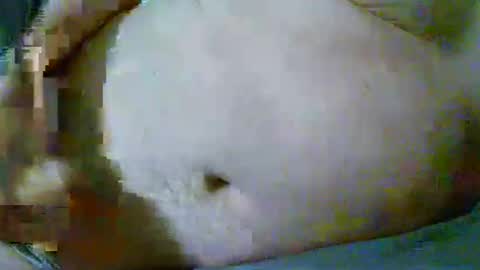 fultonstreet196860 online show from 04/10/26, 12:38