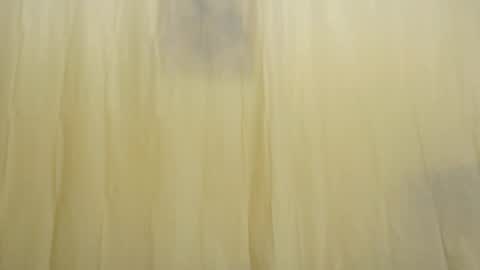 Fun4Tips online show from 02/15/25, 03:28