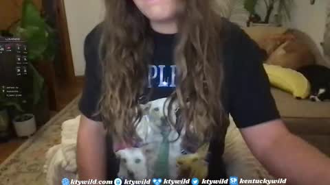   Thank you for visiting I hope you had fun 3 online show from 01/07/25, 11:14