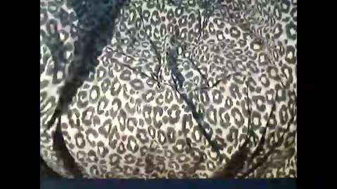 funcyman3 online show from 04/15/26, 04:03