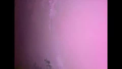 Daniel kim online show from 11/17/25, 07:30