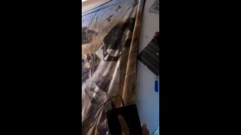 funinbed607918 online show from 04/25/26, 02:36