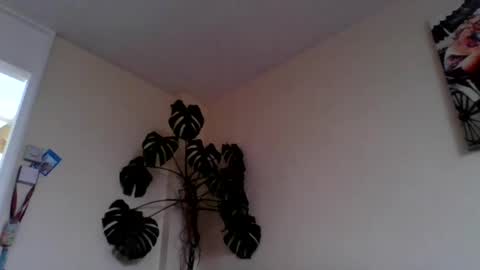 Snapshot of funn333222 chatting on 06/15/26, 10:28 funn333222 online show from 06/15/26, 10:28