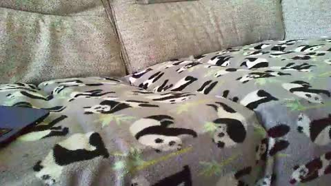 Funslimguy online show from 12/30/24, 03:46