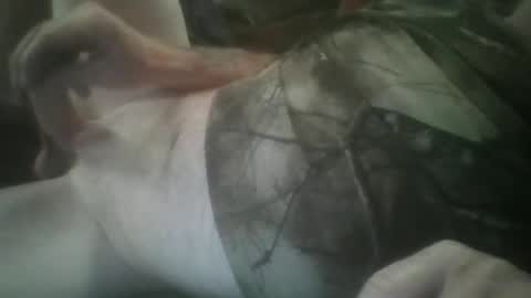 funthum19 online show from 11/25/25, 07:25