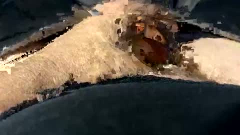 Snapshot of funtime741 chatting on 12/10/24, 02:16 funtime741 online show from 12/10/24, 02:16