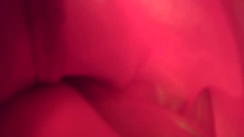 funtimes01234 online show from 11/10/25, 07:24