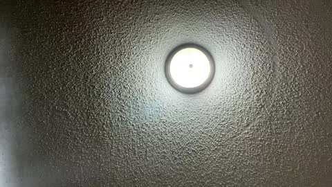 Snapshot of furburgermuncher89 chatting on 02/22/25, 11:24 furburgermuncher89 online show from 02/22/25, 11:24