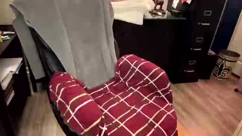 Snapshot of furryhugs69 chatting on 02/21/25, 02:16 Erich online show from 02/21/25, 02:16