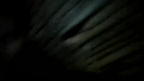 YoungBullAl online show from 12/20/24, 07:28