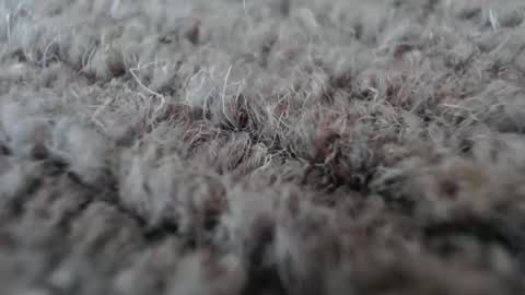 Mark online show from 01/19/26, 05:11