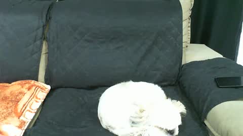 gaby  layla online show from 01/21/25, 09:36