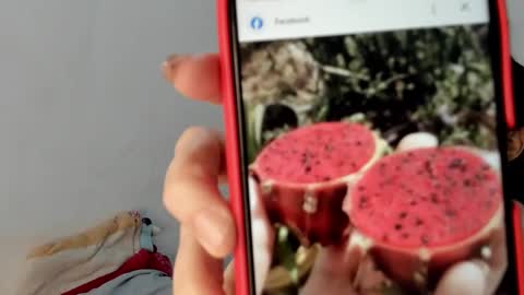 Gabi online show from 01/19/25, 12:50