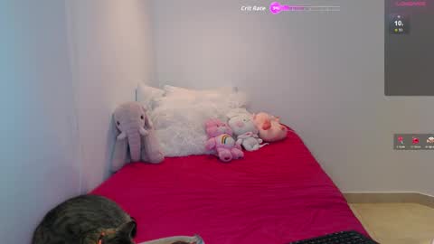 .  online show from 02/26/26, 04:11