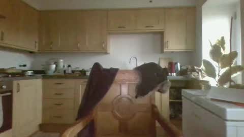 Snapshot of galacx chatting on 02/21/25, 04:48 galacx online show from 02/21/25, 04:48