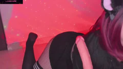 PROXIMO SHOW NOVIEMBRE 16   NEXT SHOW NOVEMBER  16    online show from 01/06/25, 02:48