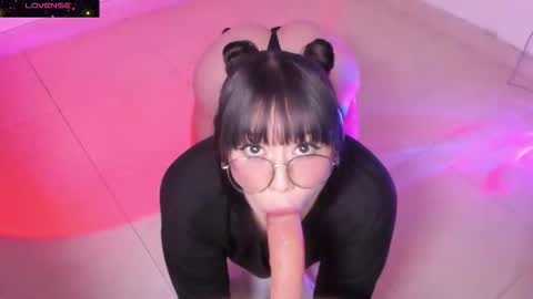 PROXIMO SHOW NOVIEMBRE 16   NEXT SHOW NOVEMBER  16    online show from 10/21/25, 12:11