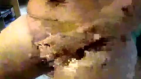 Stutzen online show from 09/17/25, 08:05