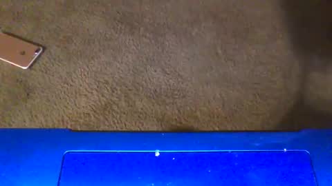 gangdrewski online show from 03/06/26, 04:53