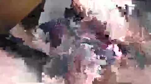 Gansozo online show from 11/23/25, 11:26