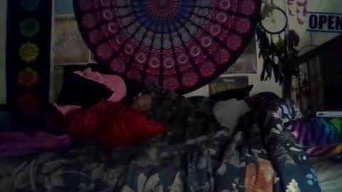 Gardenia online show from 02/15/26, 08:46