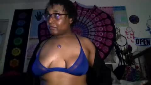 Gardenia online show from 03/11/26, 08:53