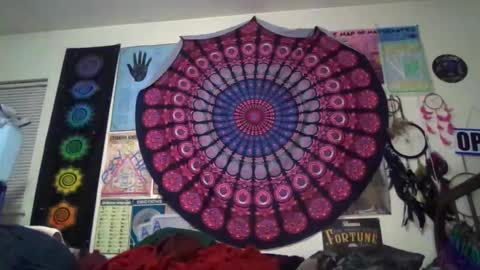 Gardenia online show from 03/20/26, 09:36