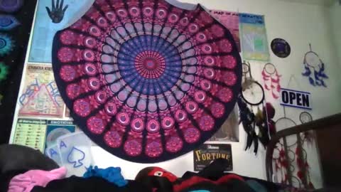 Gardenia online show from 04/12/26, 11:43