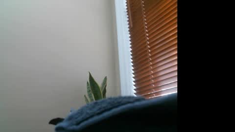 Snapshot of garters3350 chatting on 12/27/24, 07:14 Lisa online show from 12/27/24, 07:14