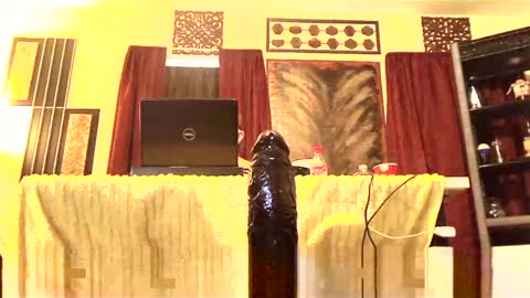 Snapshot of gatewaylaptop2019 chatting on 03/02/25, 03:37 gatewaylaptop2019 online show from 03/02/25, 03:37