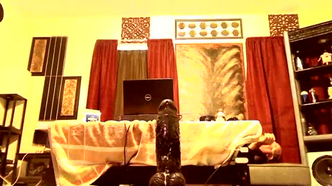 Snapshot of gatewaylaptop2019 chatting on 03/09/25, 02:10 gatewaylaptop2019 online show from 03/09/25, 02:10