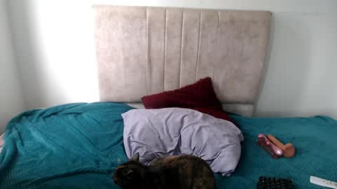 gatita13333321 online show from 04/13/26, 05:18