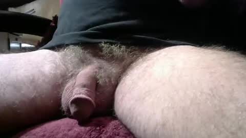 gemini_2 online show from 01/14/26, 04:01