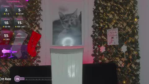 Snapshot of geminis_grey chatting on 01/21/25, 06:54 Geminis online show from 01/21/25, 06:54